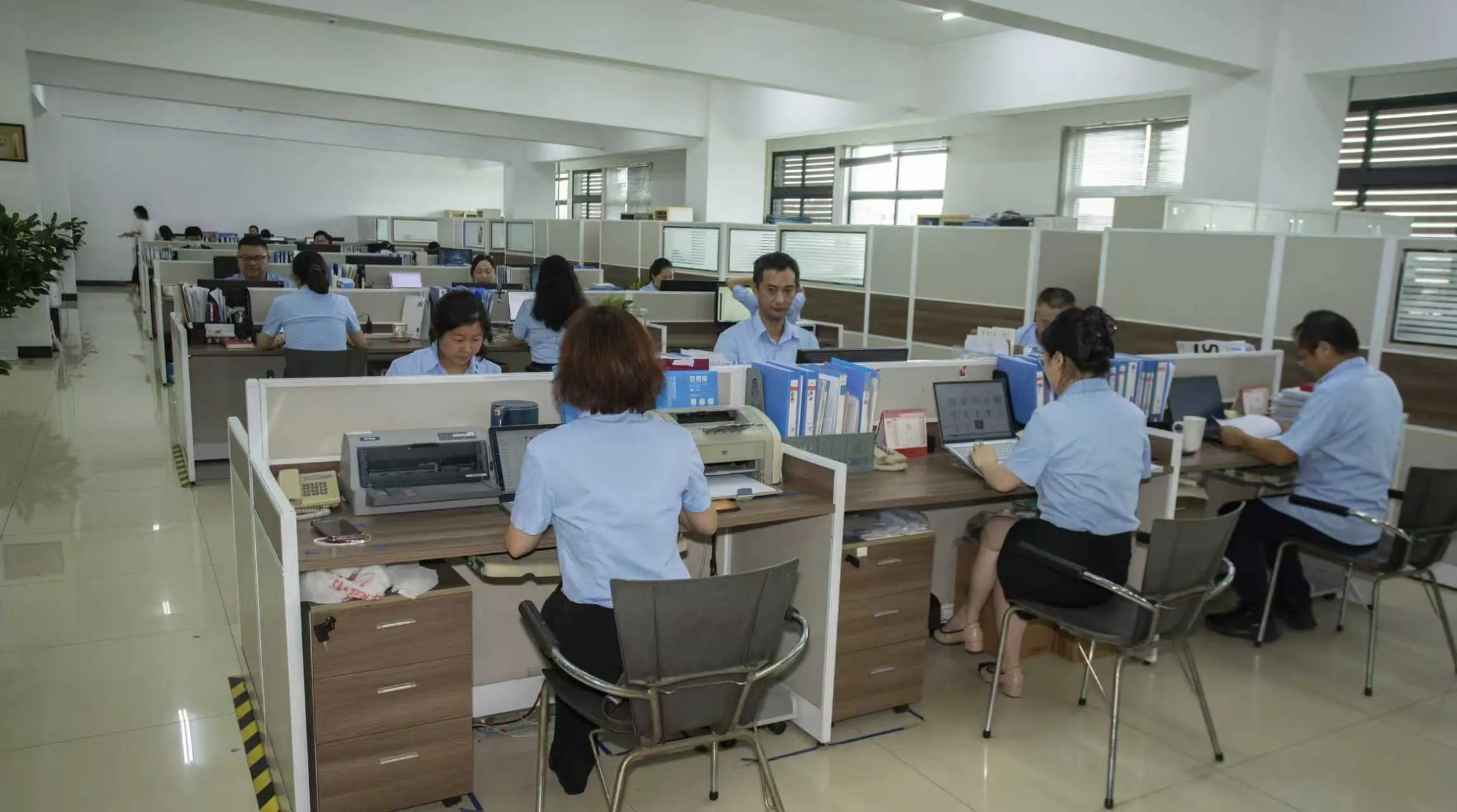 Yangzhou New Phoenix Unveils Refurbished Office, Marking 25 Years of Oral Care Excellence