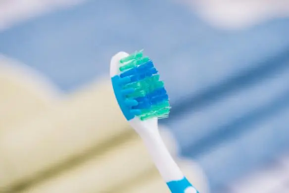 Adult Toothbrush(4)